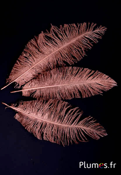 Autruche - 18-22 cm - bronze